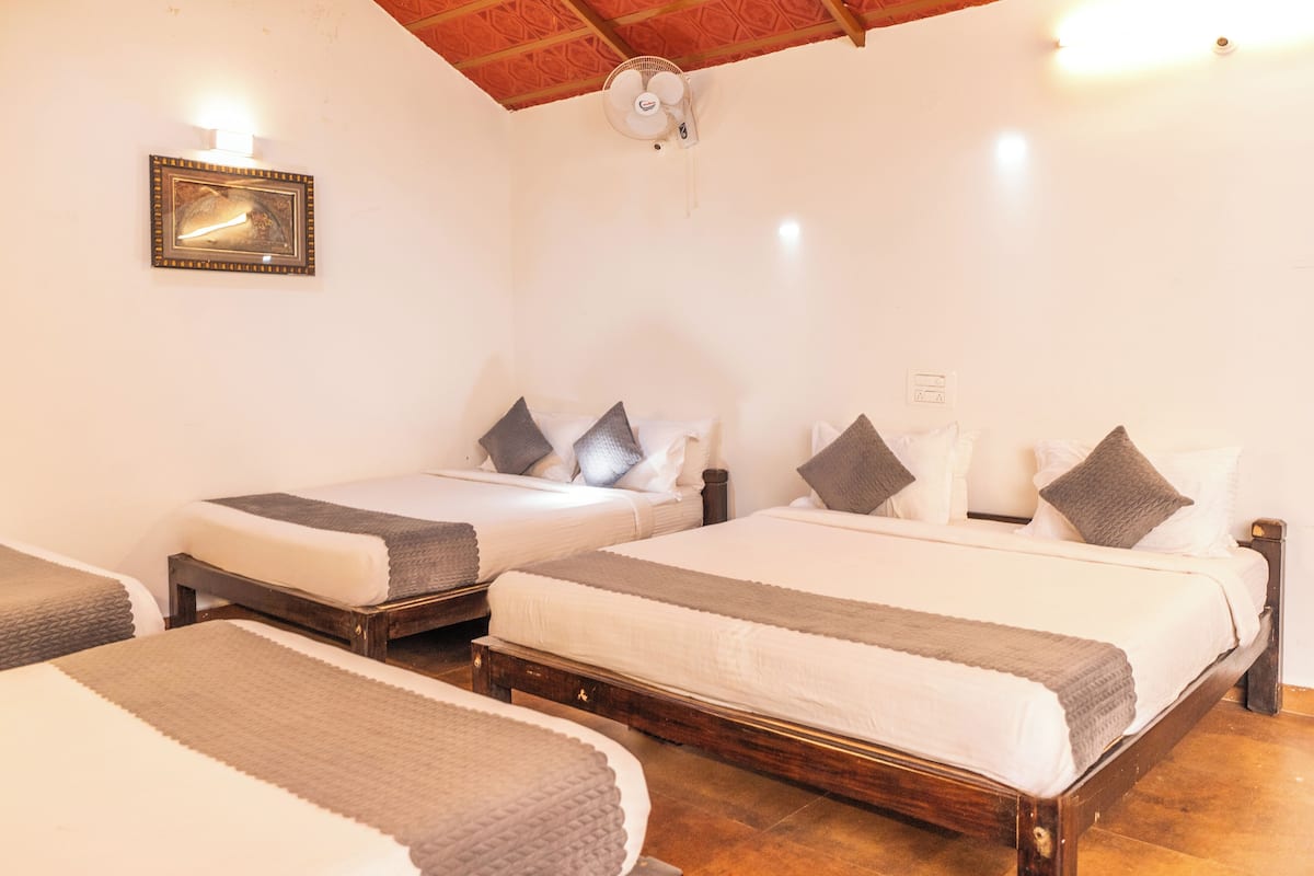 Standard Shared Dormitory