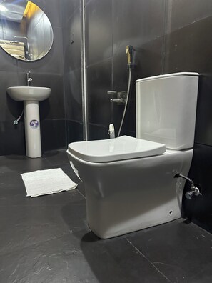 Shower, towels, toilet paper