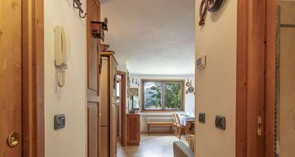 Nice apartment for 4 guests with WIFI, hot tub, TV and pets allowed
