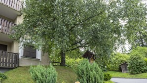 Een woonwijk met een huis, een houten hek en een kleine tuinhuisje.