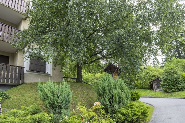 Strauch, Garten, Pflanzengemeinschaft, Ground, Frühling, Landscaping, Rasen, Garten, Hinterhof