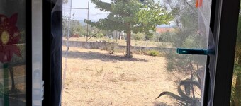 Casas Chris Cavadas - Encanto Rural - Entre Mar e Montanha! Between Lisbon and Porto