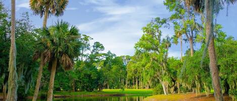 Un campo de golf tranquilo con un estanque, rodeado de exuberante follaje y altos árboles.