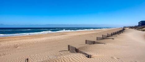 Playa en los alrededores
