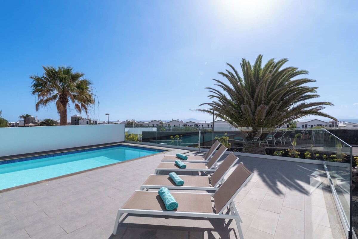 Un espace piscine aménagé sur le toit, avec des chaises longues et un palmier.