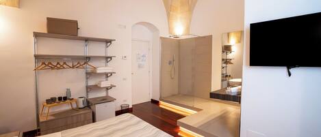 A hotel room with a bed, a wardrobe, a shower area, and a TV mounted on the wall.