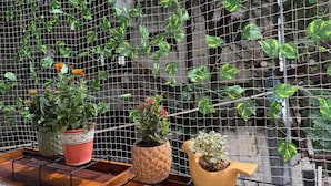 A garden with various potted plants against a wire mesh backdrop.