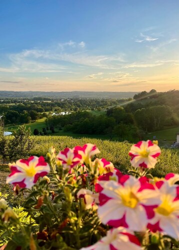 A romantic farmhouse among the vineyards, 15' from the Serravalle outlet