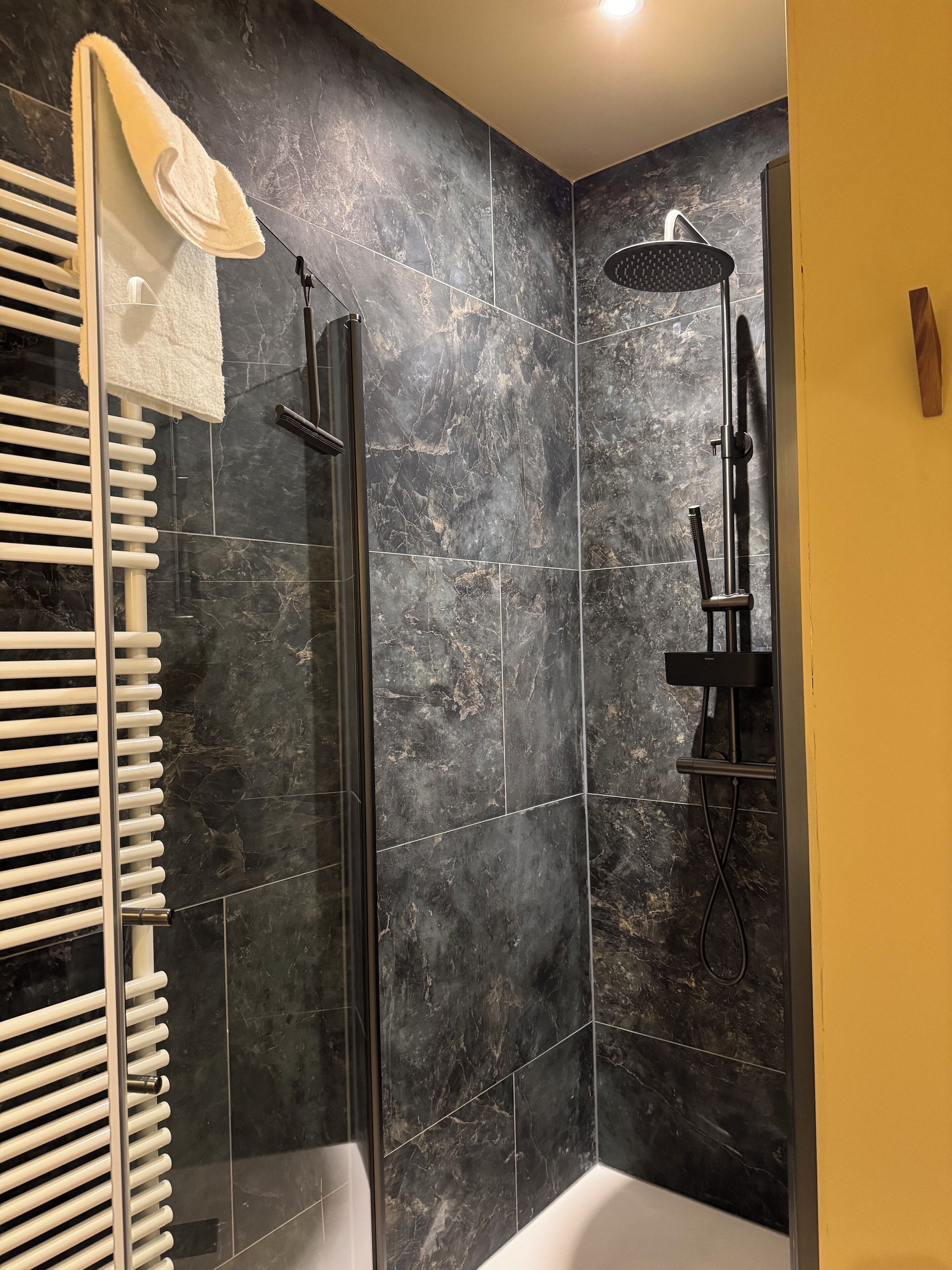 A modern bathroom with a glass-enclosed shower, a white towel rack, and a black showerhead.