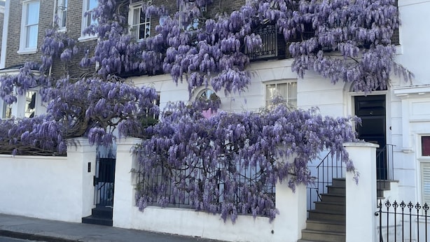 Un edificio de estilo victoriano con fachada blanca y numerosas ventanas.