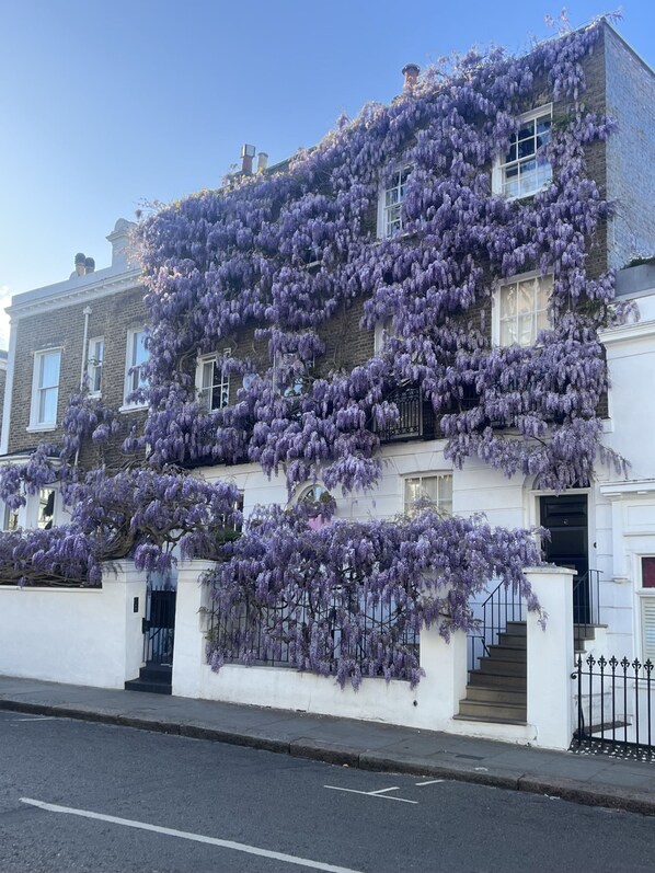 Apartment | 3 bedrooms - Newly Refurbished - Awesome 3 Bedroom Notting Hill Very Central With a Balcony (London)