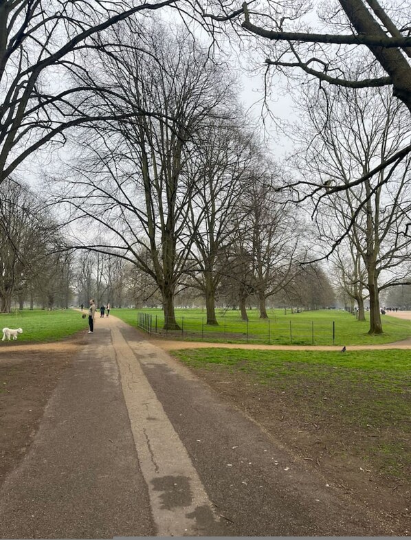A park pathway with trees and a dog on the left, and a fence on the right. - Awesome 3 Bedroom Notting Hill Very Central With a Balcony (London)