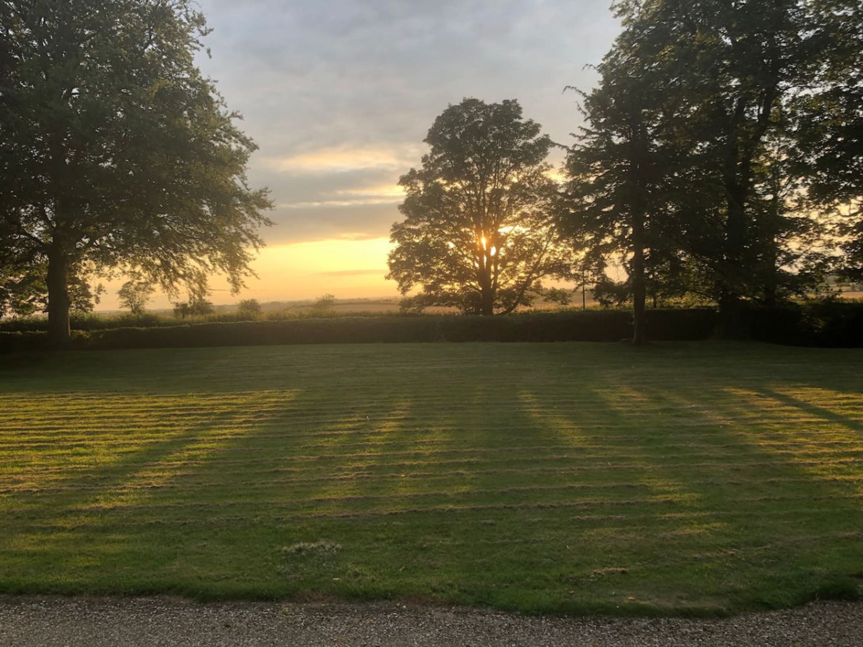 A grassy field with trees and a sunset in the background.