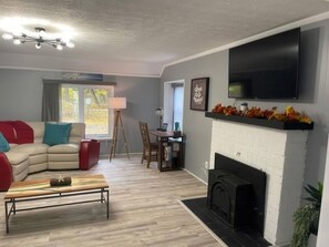 TV, fireplace, books