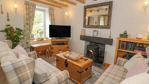 Ein gemütliches Wohnzimmer mit Kamin, Holzmöbeln, einem Fernseher und einem Bücherregal.