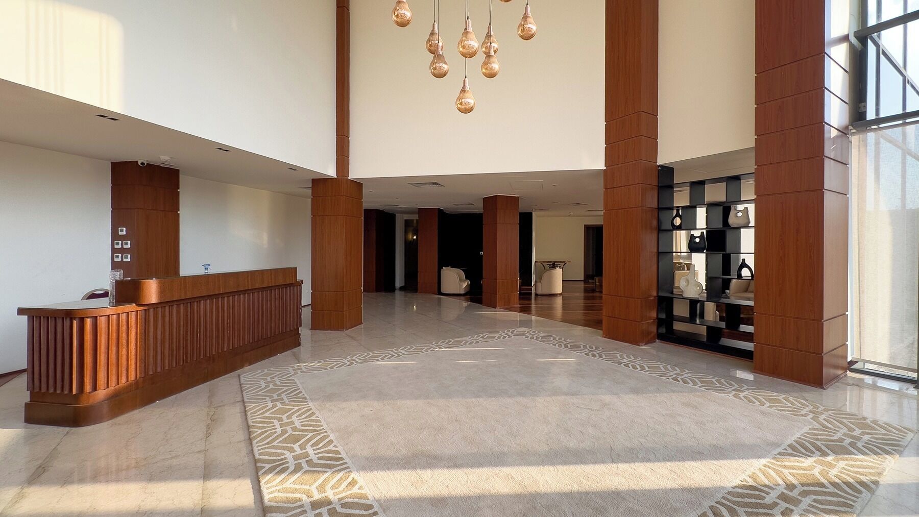 منطقة الاستقبال