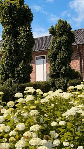 Ferienwohnung 'Ederweg' mit privater Terrasse und WLAN