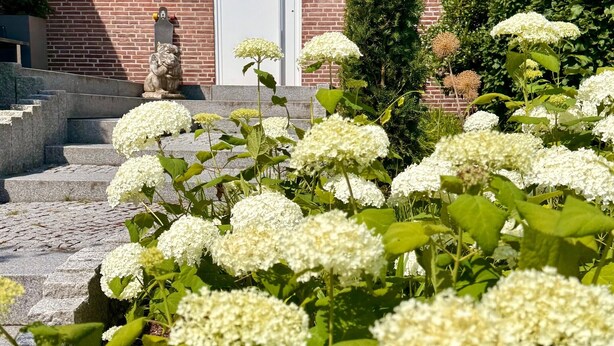 Un edificio de ladrillo con techo de tejas, una estatua y un jardín con flores blancas.