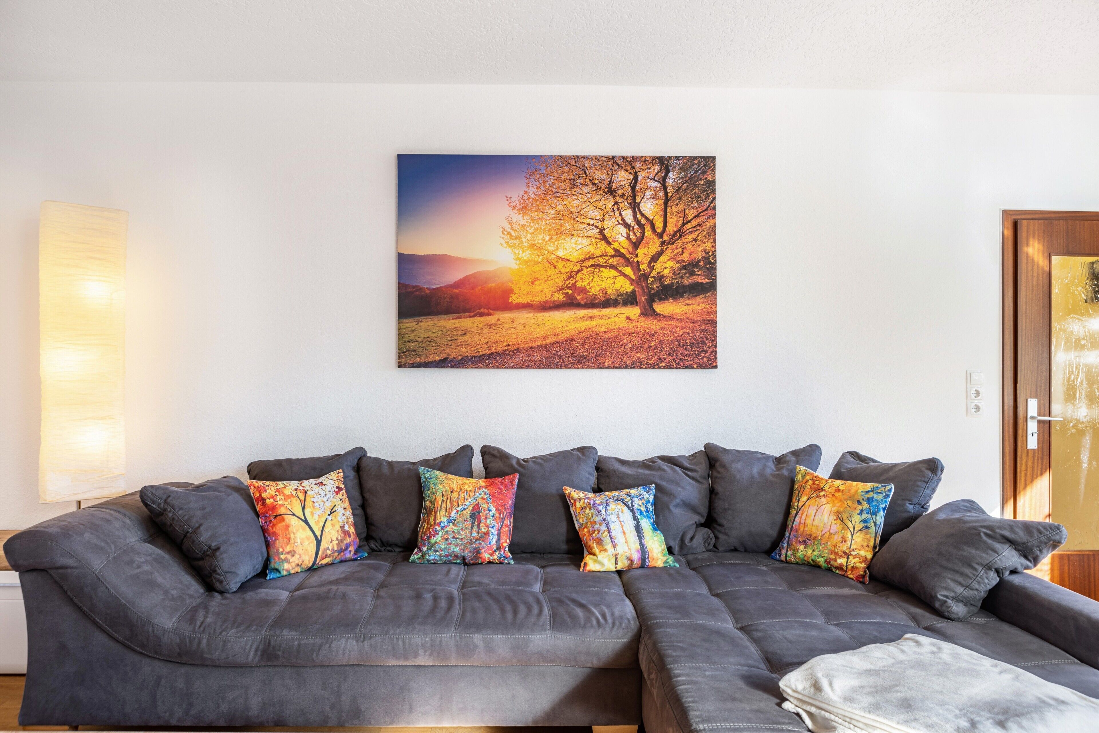 Fernseher, DVD-Player