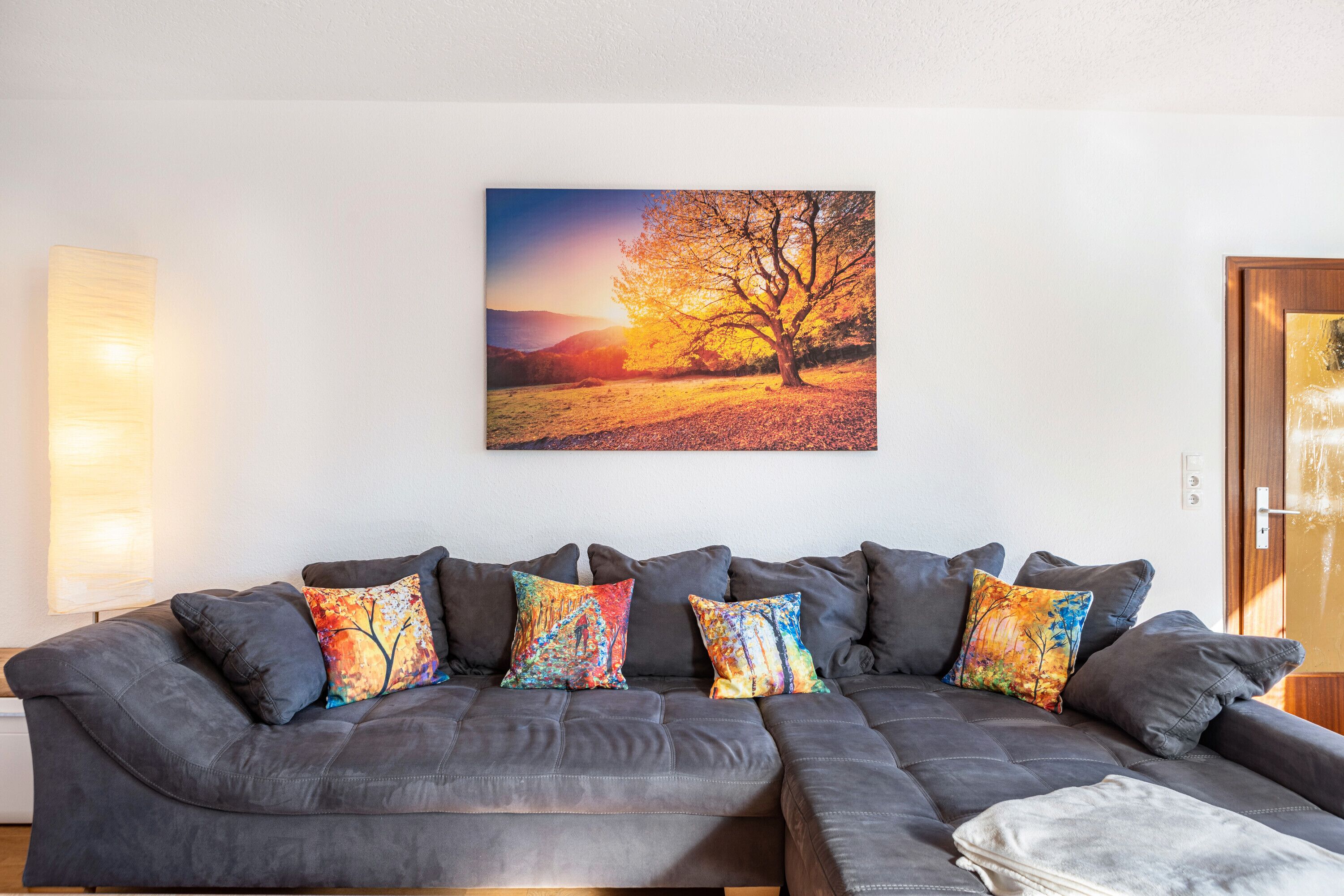 Televisio, DVD-soitin