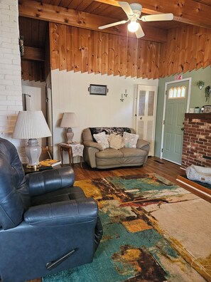TV, fireplace, books
