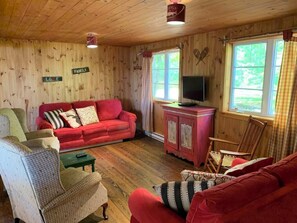 Smart TV, DVD player, video library