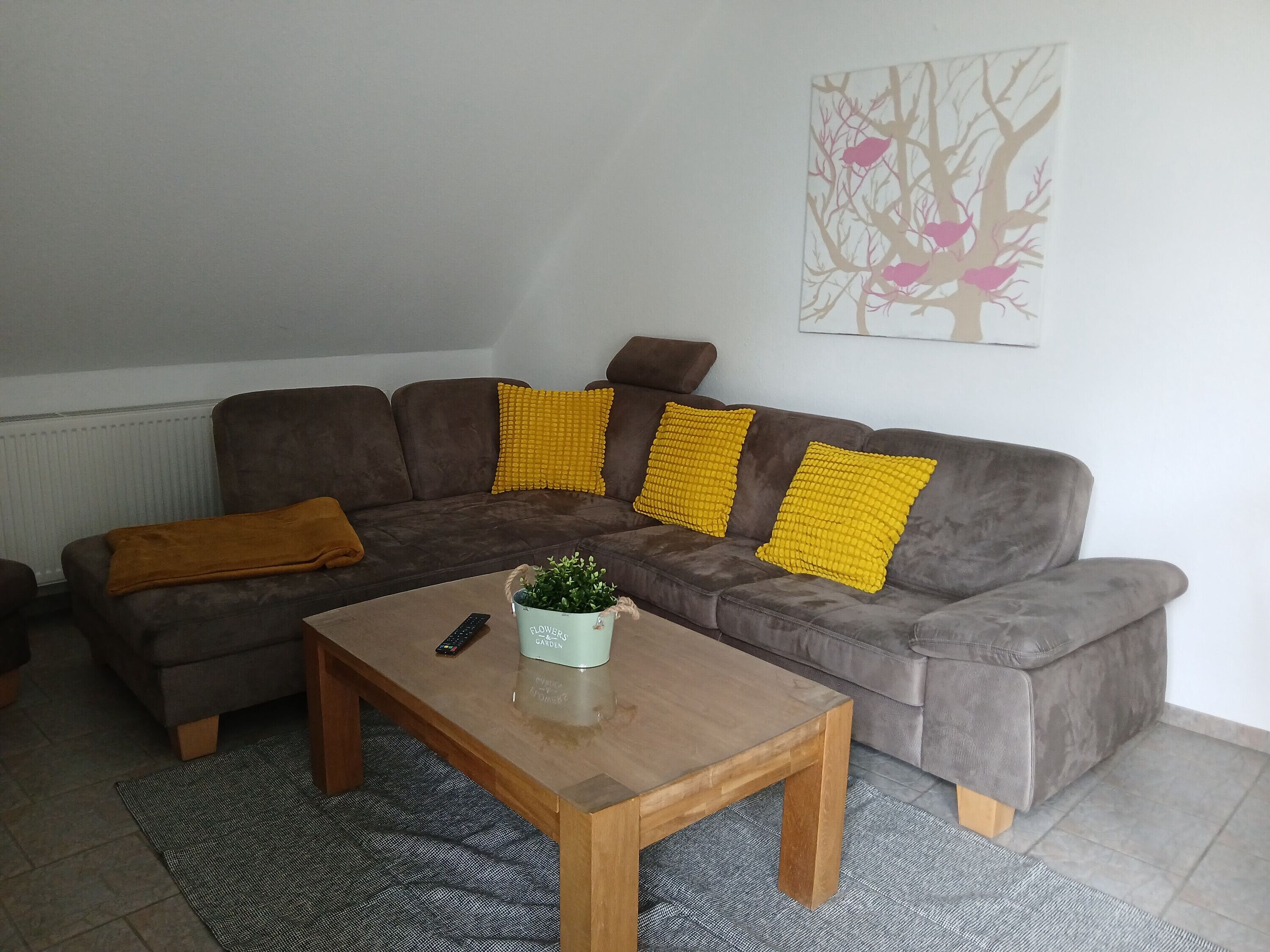 Télévision, chaîne hi-fi