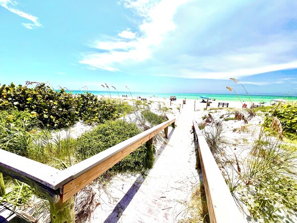 Camastros y toallas de playa