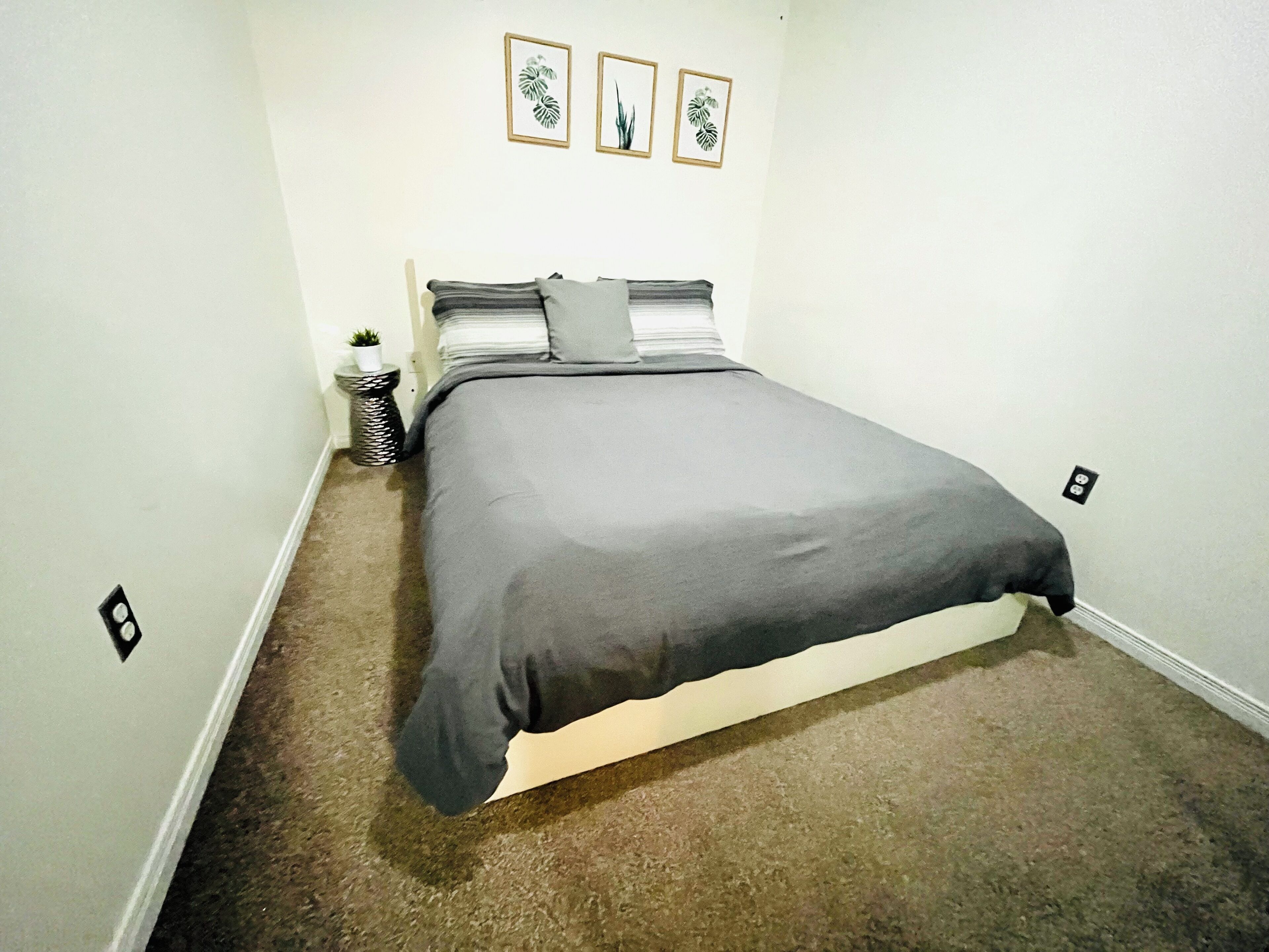 Un dormitorio con una cama, una mesita de noche, una planta pequeña en maceta y tres cuadros en la pared.