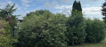 Idyllic bungalow surrounded by greenery, perfect for relaxing.