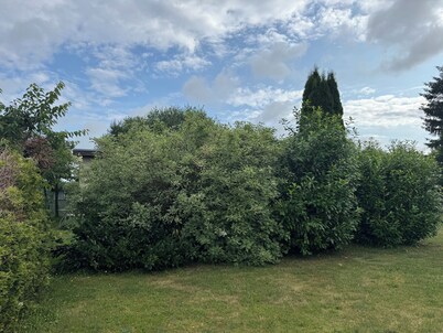 Idyllic bungalow surrounded by greenery, perfect for relaxing.
