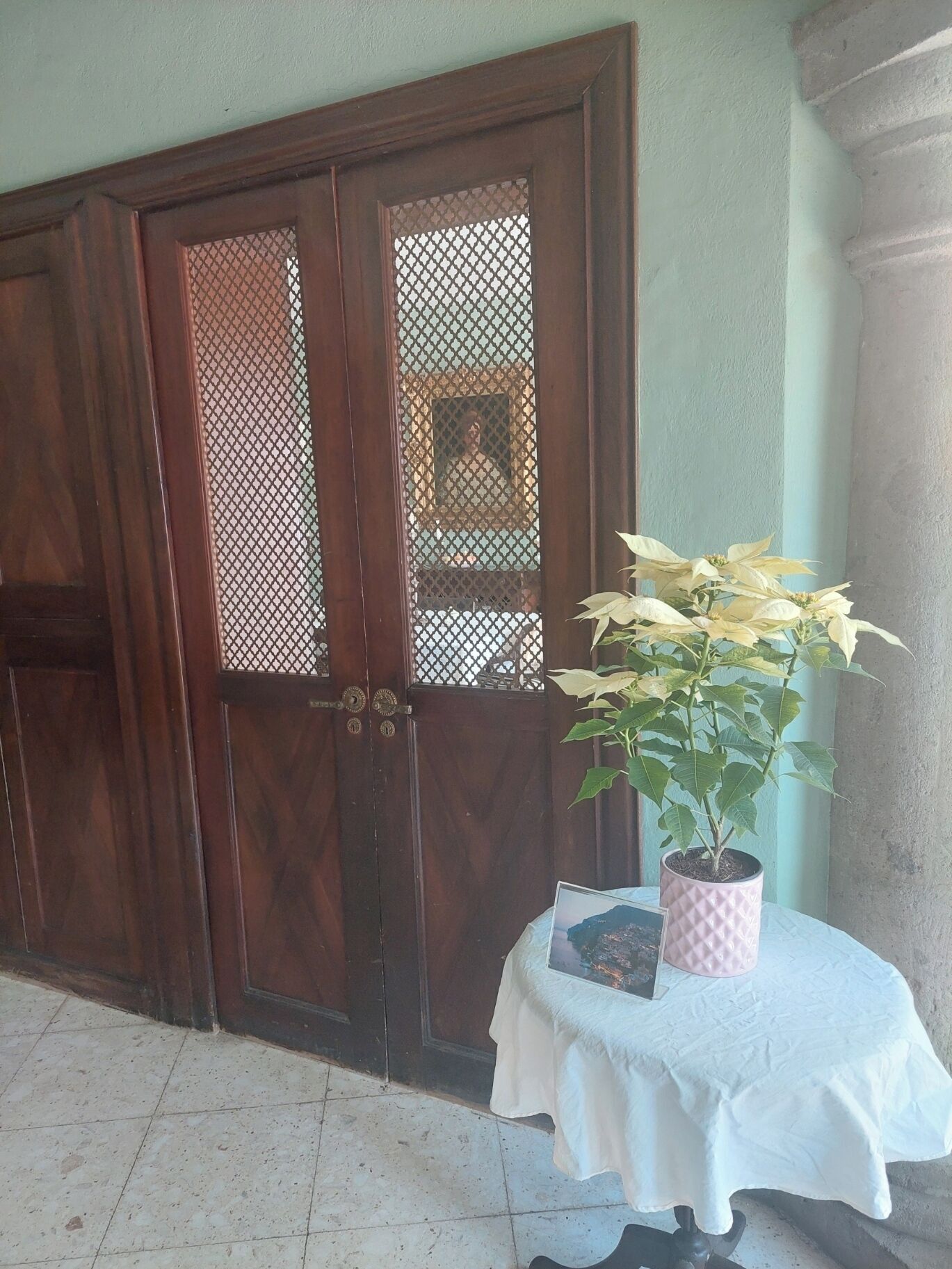A wooden door with a mesh screen, a potted plant on a small table, and a tiled floor.