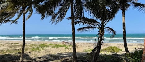 Studio, 1 Bedroom, Smoking, Balcony | Beach