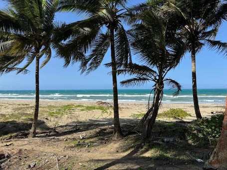 Studio, 1 Bedroom, Smoking, Balcony | Beach