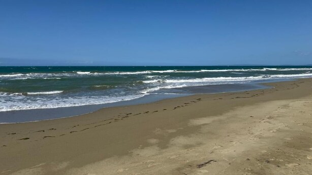 Una playa con cielos despejados y olas tranquilas.