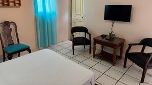 Ein Hotelzimmer mit Bett, zwei Sessel, einem kleinen Tisch mit Pflanze, einem Fernseher und einem Fenster mit Vorhängen.