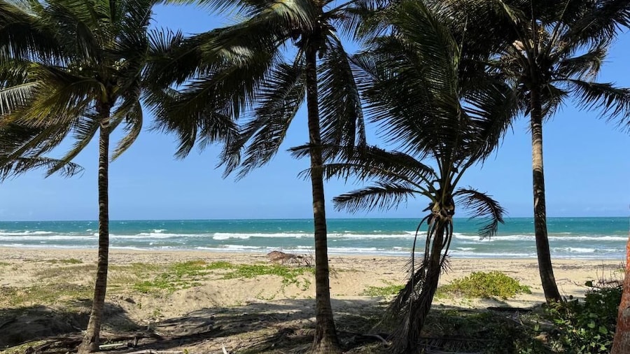 Cozy Apartment 2 min to the Beach, Rooftop