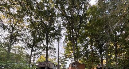 Great cabin to stay on fishing trip or ATV/UTV trip.