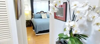 Elegant, Quiet & Cozy Kingston Home