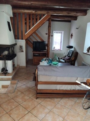 Televisión, chimenea y libros 