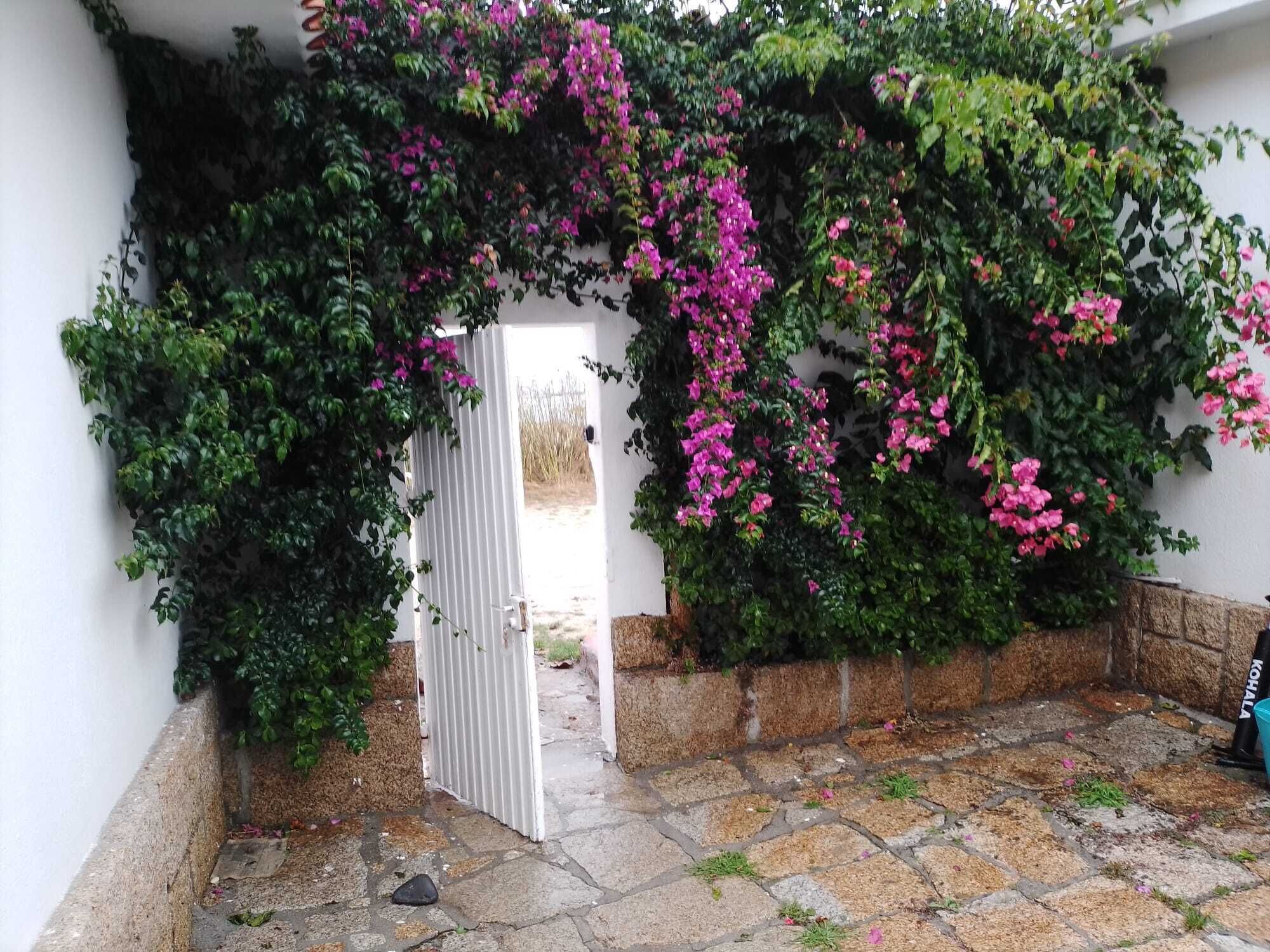 Detalle del exterior