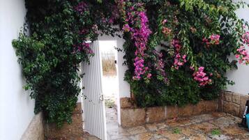 Detalle del exterior