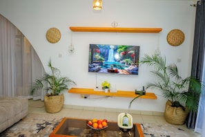 TV