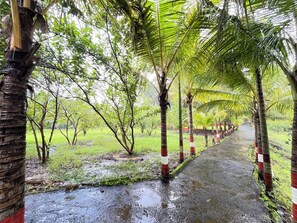 Interior detail - Rustic River Resort (Vikramgadh)