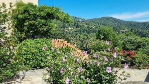 Property grounds - In the Cévennes, Les gites du Champ Neuf- La Maison de Flavie (Saint Julien des Points)