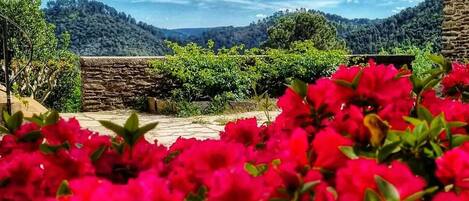 Jardines del alojamiento