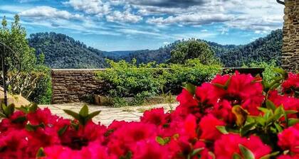 En Cévennes, Les gites du Champ Neuf- La Maison de Flavie