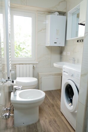 Shower, hair dryer, bidet, towels