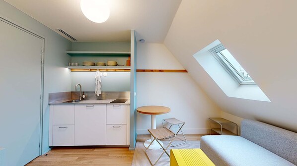 Fireplace, offices - JOIVY 10 Douai 1BR Velux (Paris)