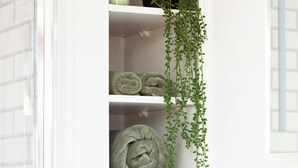 A white tiled wall with a white shelf unit holding rolled towels and a hanging plant.